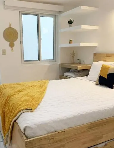 Curious Family Space D1